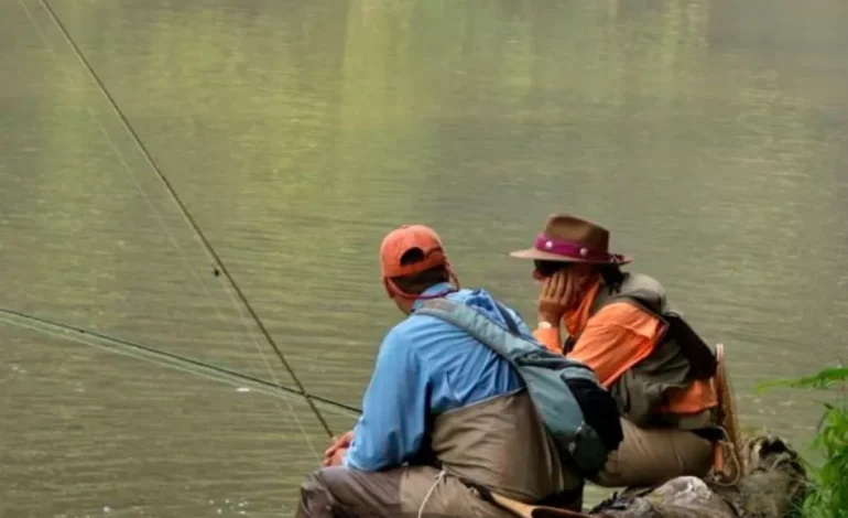 Trik memancing Ikan Mas, Dijamin Strike