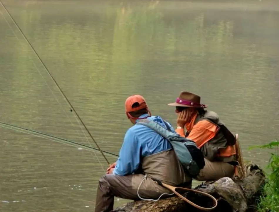 Trik memancing Ikan Mas, Dijamin Strike