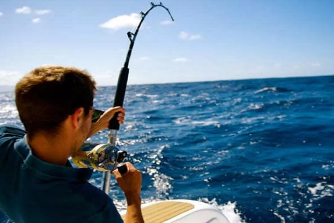 7 rekomendasi umpan jitu untuk memancing di laut