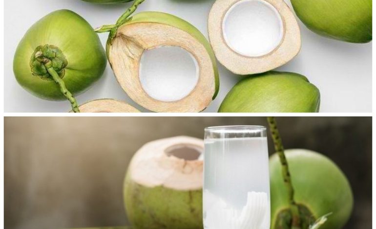 6 Manfaat Buah Kelapa untuk Kesehatan yang Jarang Diketahui
