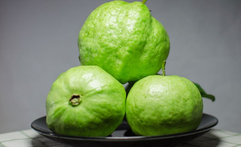 6 Manfaat Jambu Biji Bagi Kesehatan Tubuh yang Luar Biasa