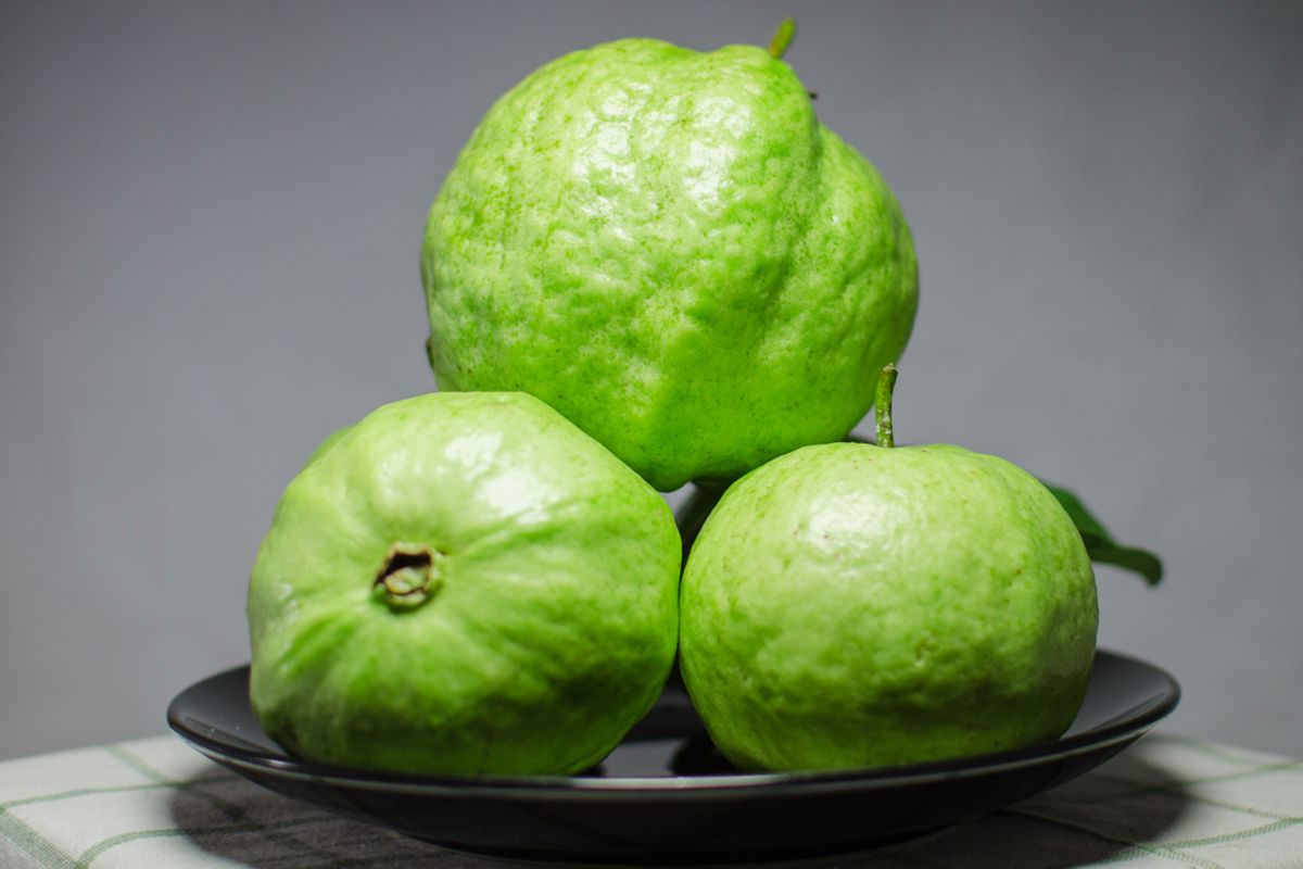 6 Manfaat Jambu Biji Bagi Kesehatan Tubuh yang Luar Biasa