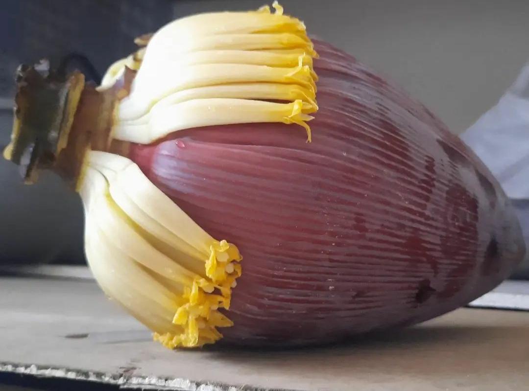 5 Manfaat Jantung Pisang untuk Kesehatan yang Nggak Disangka