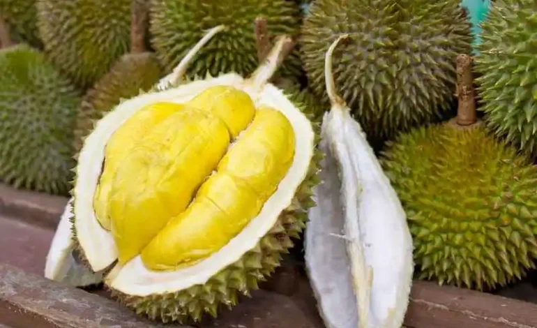 Dampak Dari Kelebihan Makan Durian
