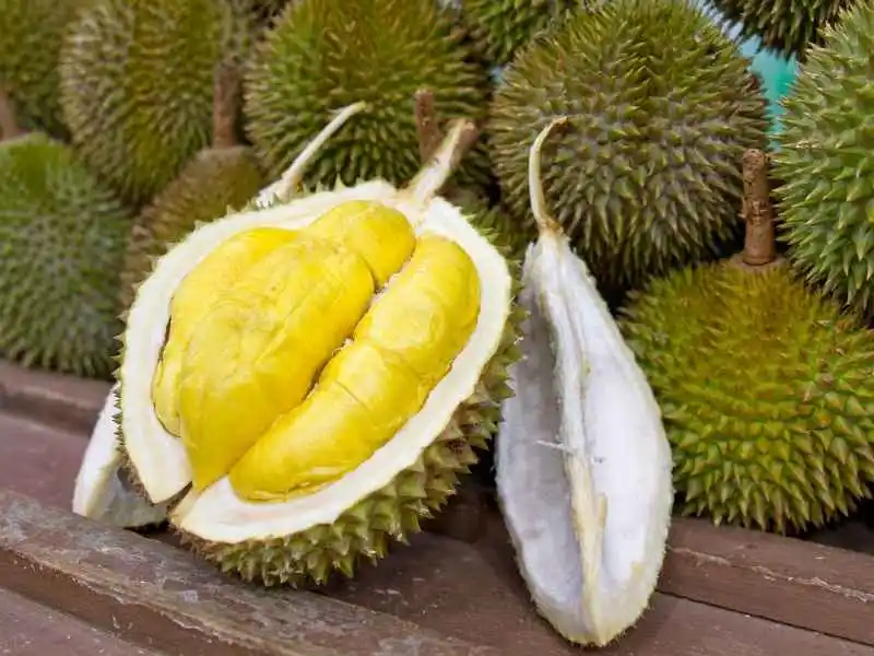 Dampak Dari Kelebihan Makan Durian