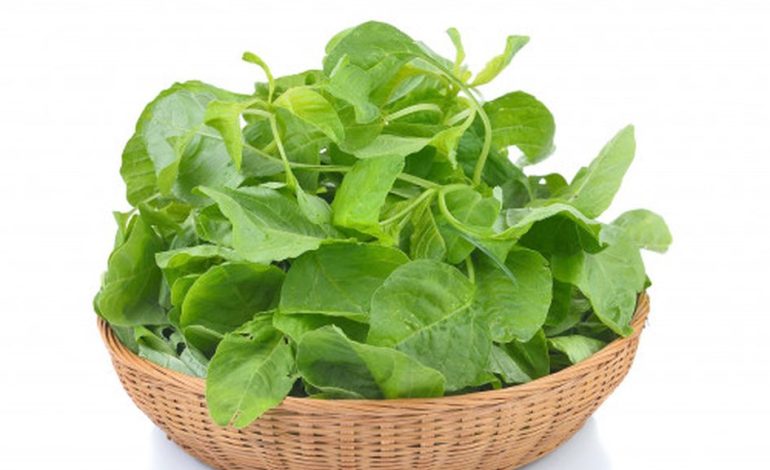 4 Risiko Makan Bayam Berlebihan