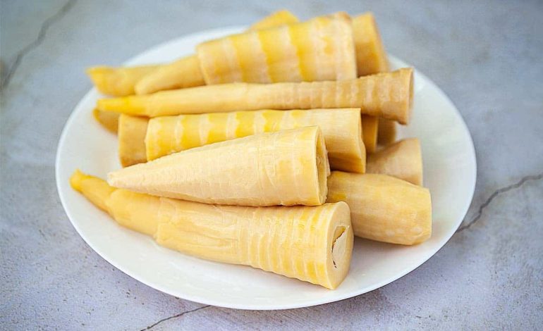 5 Manfaat Sayur Rebung bagi Kesehatan yang Jarang Diketahui