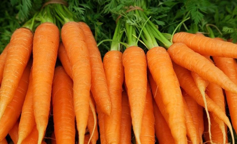 5 Manfaat Wortel untuk Kesehatan dan Kecantikan Tubuh