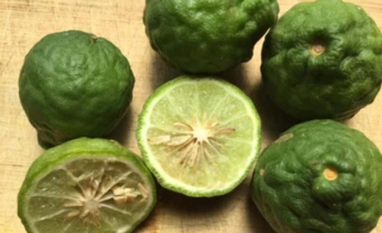 5 Manfaat Jeruk Purut untuk Kesehatan Tubuh