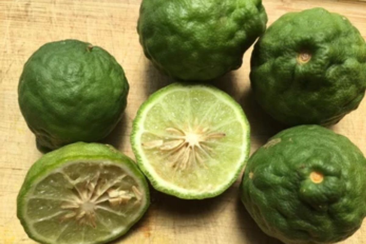 5 Manfaat Jeruk Purut untuk Kesehatan Tubuh