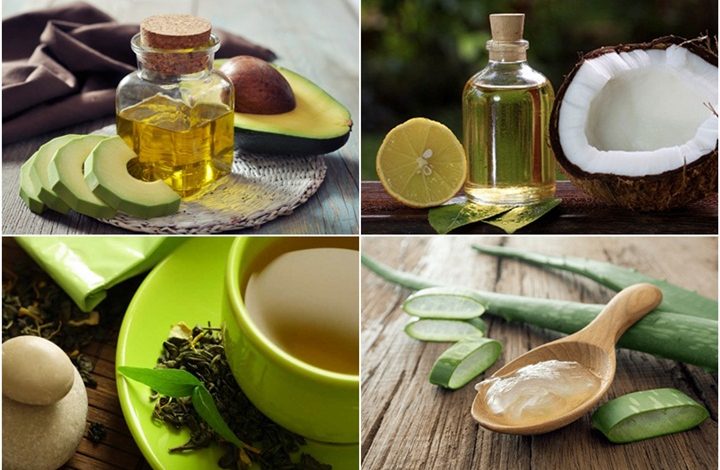 Tanaman yang Berkhasiat Mempercepat Pertumbuhan Rambut