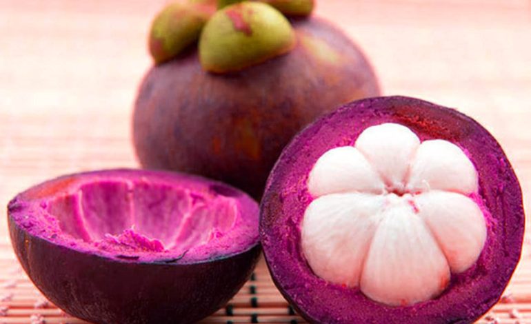 5 Manfaat Kulit Manggis untuk Kesehatan Pria dan Wanita